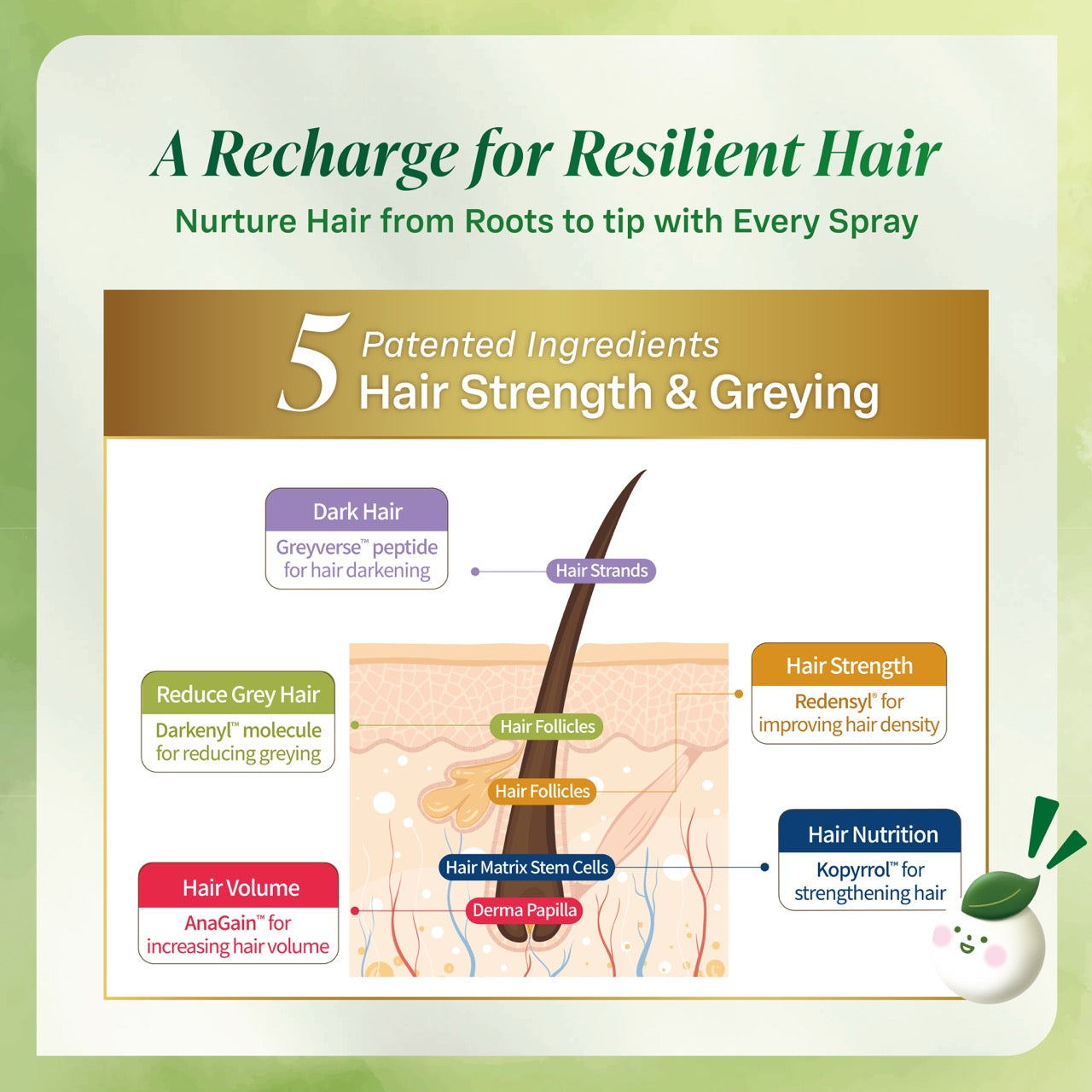 Advanced Hair and Scalp Revitalizing Essence (80 ml)